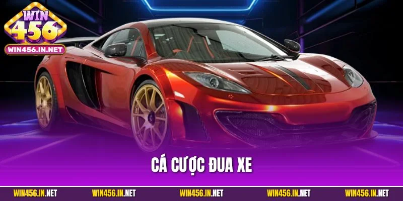 Cá Cược Đua Xe - Trải Nghiệm Giải Trí Tốc Độ Đỉnh Cao 1 Cá Cược Đua Xe - Trải Nghiệm Giải Trí Tốc Độ Đỉnh Cao